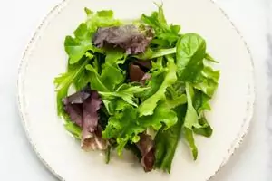 First-Watch-Lemon-Dressed-Organic-Mixed-Greens
